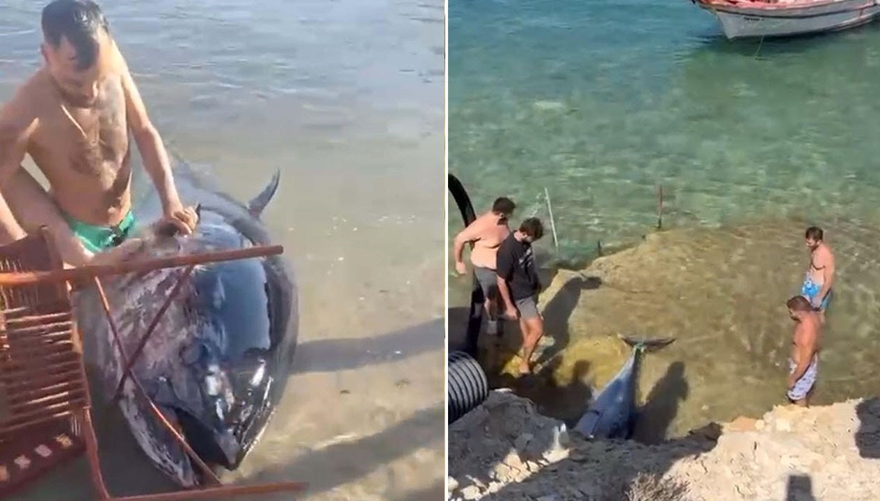 art arda karaya vurdular cesmede ekipler inceleme baslatti 9wHWAlMy