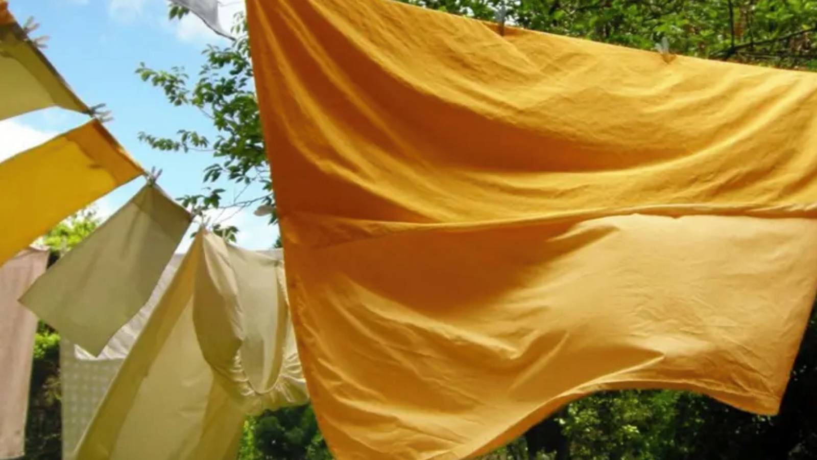 yatak takimlarinizi daha sik degistirmeniz gerekebilir 8kvH7mh7