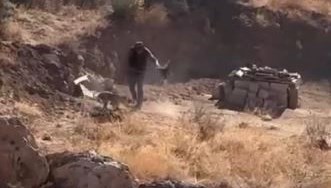 dort aylik kopege siddet uygulayan kisi gozaltina alindi vzUNisHp