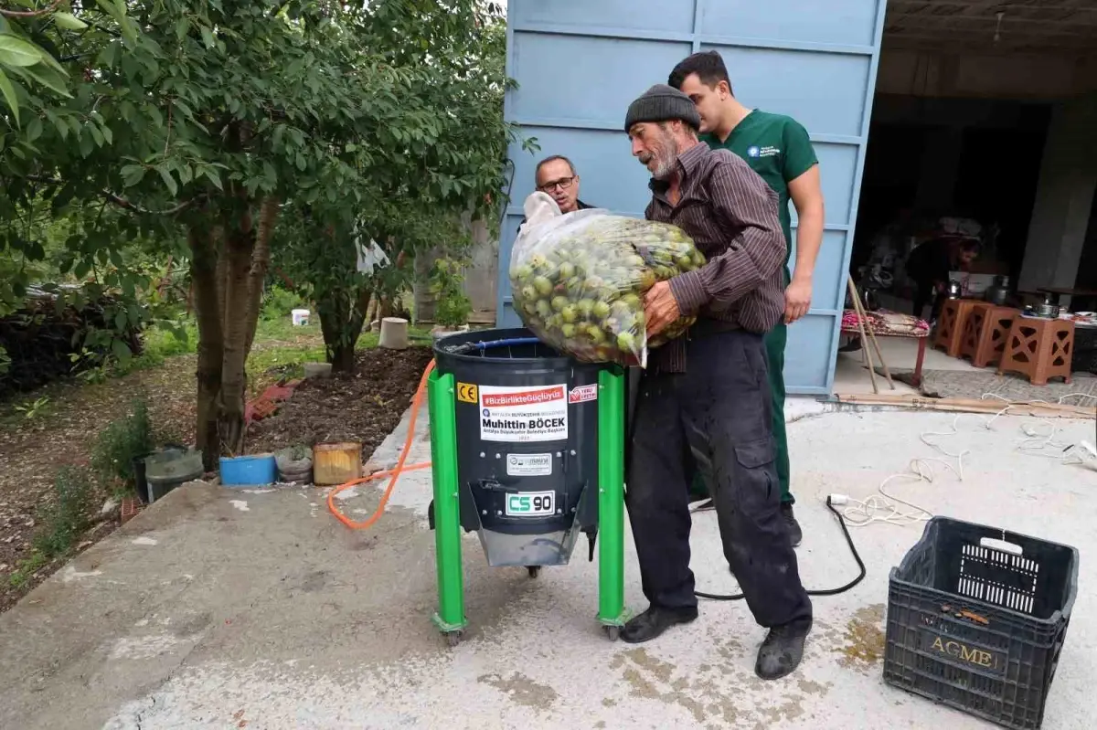 antalyada ceviz soyma makineleri ureticilerin hizmetinde L7ajEp2k.jpg