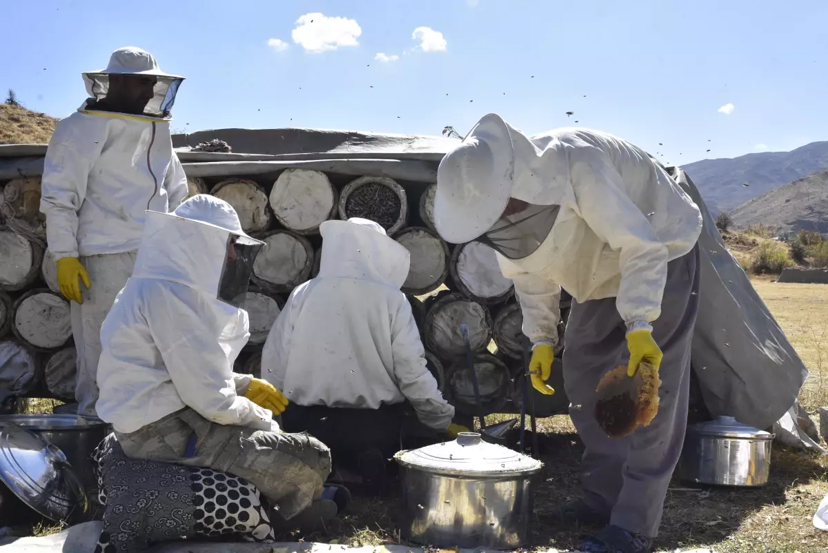 bitliste kara kovan bali hasadi basladi MhHNQSF7.jpg