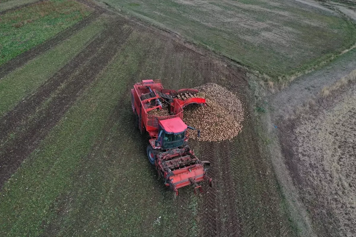 agrida tarim urunleri ekimi devlet destegiyle artiyor 8lsIIwI4.jpg