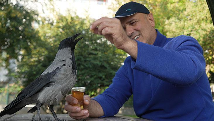 evlat gibi sevdi otobus kaptaninin 25 yildir ayrilmadigi kargasi sakir rize helvasi ve caya bayiliyor gE58l1Qu.jpg