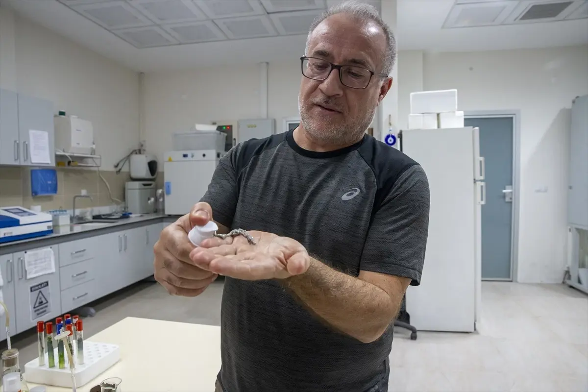 turk akademisyenler murekkep baligindan cilt onarici ve koruyucu gunes kremi uretti 8dI6jKCr.jpg