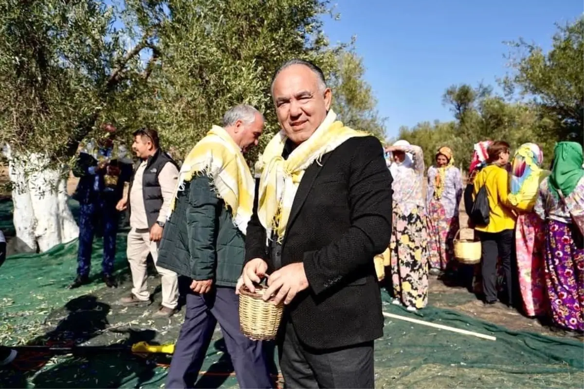 Ayvalık Zeytinyağı’nda Markalaşma Çabaları