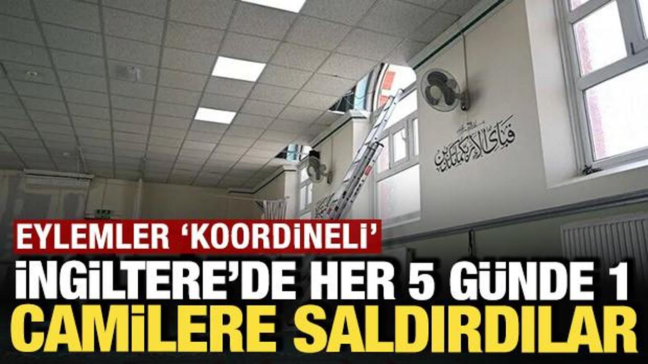 Rapor ingilterede her 5 gunde 1 camilere saldirdilar H1z86T7Q